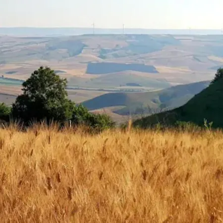 Σπίτι διακοπών Kestrel's Nest/nido Del Gheppio Irsina